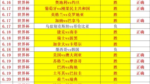 杯赛黑马瓦萨：值得信赖的云服务终极指南